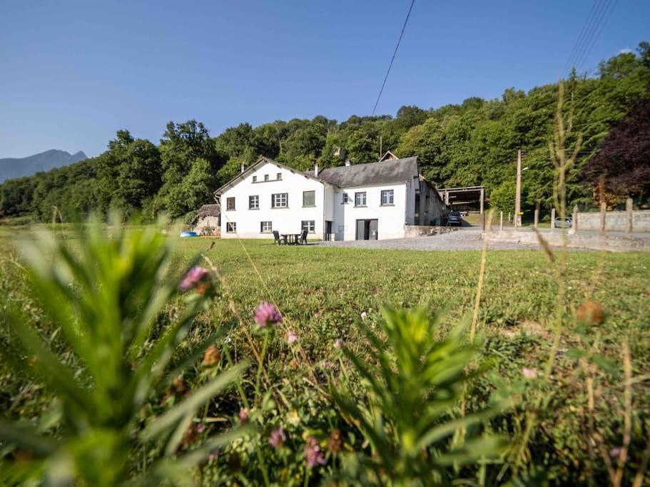 Apartamento Au Coeur Des Pyrenees Bigourdane Lau-Balagnas Exterior foto